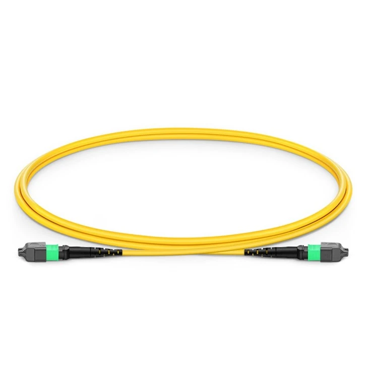 MPO Patch Cord